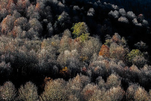 Cold Autumn