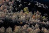 Cold Autumn