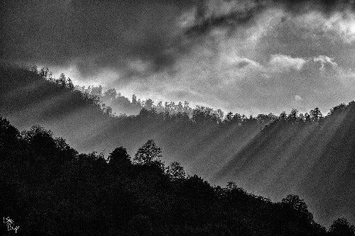 Morning Light