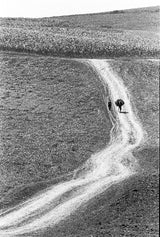 The Winding Road