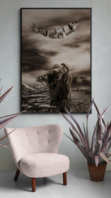 In Search of Illusion Collection 1