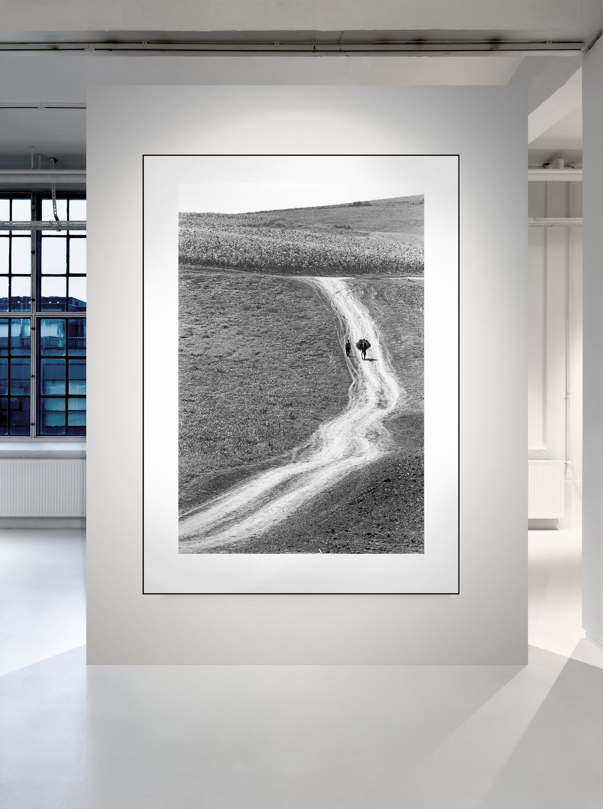 The Winding Road