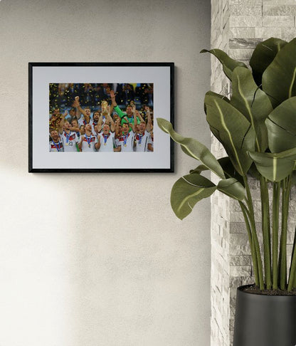2014 FIFA World Cup Brazil Final
