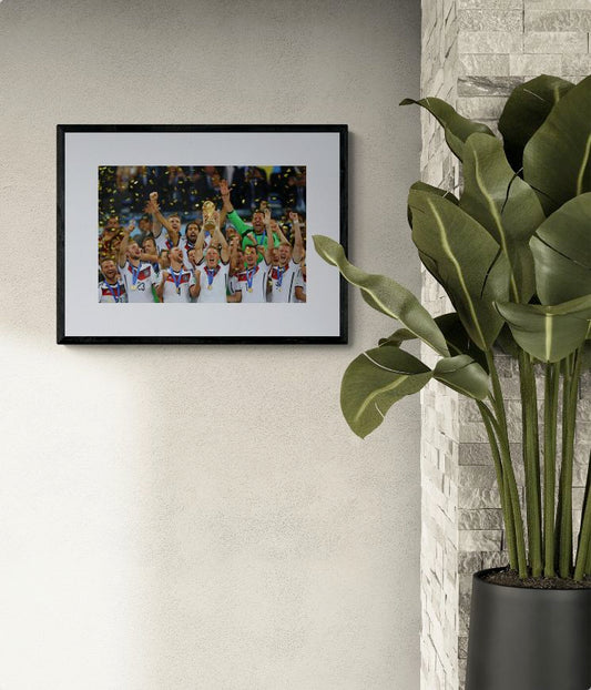 2014 FIFA World Cup Brazil Final