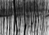 A Reflection of Tree 1