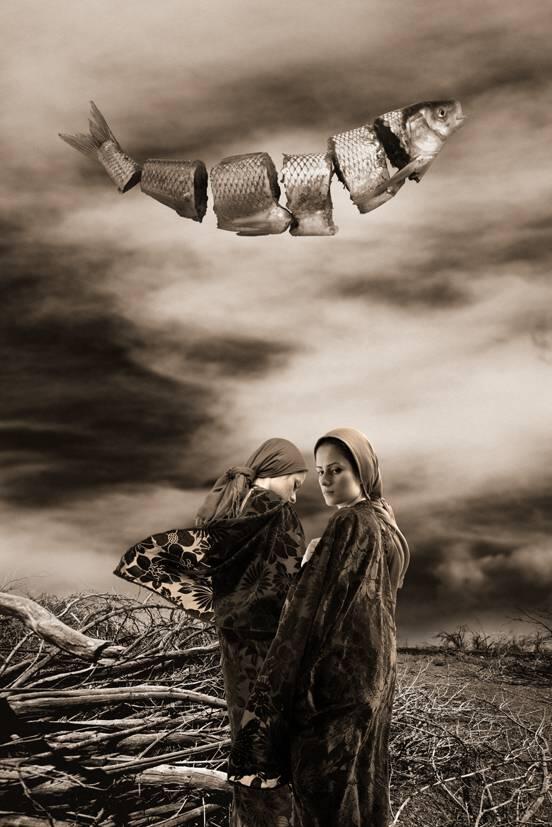 In Search of Illusion Collection 1